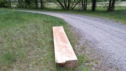 Bal jesionowy zniknął 