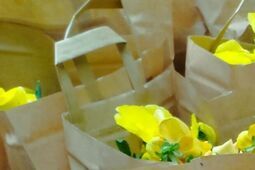 Wojna o bratki. Kwiatki rozeszły się jak świeże bułeczki