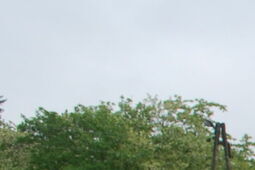 Mocny kobiecy głos w Kraśniku. Kobiety namawiały do głosowania na Rafała Trzaskowskiego