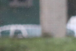 MKS Ruch Ryki zgubił punkty w meczu z Wisłą II Puławy, komplet wyników lubelskiej okręgówki