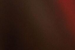 Wybory 2025. Świdnik i powiat za Nawrockim