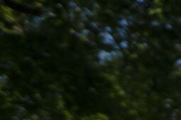 Koncepcję mieli od pięciu lat. W końcu plac w centrum miasta "stanie się wizytówką"