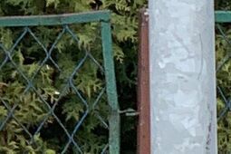 Tną, bazgrolą, kradną. Jeden sztab wyborczy ma gorzej niż inne