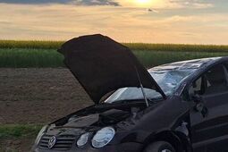 Prawo jazdy miała od miesiąca. Wystraszyła się zająca