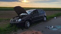 Prawo jazdy miała od miesiąca. Wystraszyła się zająca