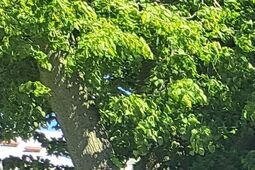 Lubelski sztab Trzaskowskiego podsumowuje kampanie: wybór między krawatem a bejsbolem