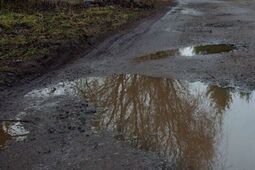 Kamieni nawieźli za darmo. Burmistrz: Bierzcie i rozsypujcie