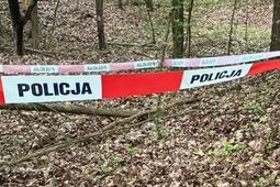 Poszedł na spacer i znalazł granaty. Interweniowali saperzy