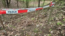 Poszedł na spacer i znalazł granaty. Interweniowali saperzy