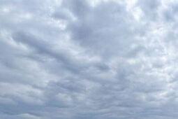 Podczas zawodów samochód wjechał w tłum kibiców. 18 osób rannych w Krośnie