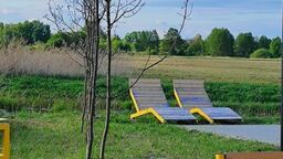 Drzewka przy tężni uschły już w ubiegłym roku. Urzędnicy wiedzieli, ale czekali na ...