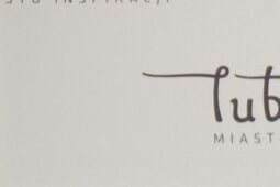 Miejskie inwestycje pod nowym szyldem. Powstanie Zarząd Inwestycji Miejskich