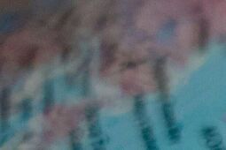 Rekord. 695 886 polskich obywateli zarejestrowało się za granicą na II turę