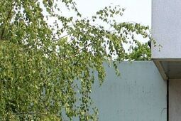 Premie dla urzędników z pieniędzy na pomoc uchodźcom. Jest śledztwo