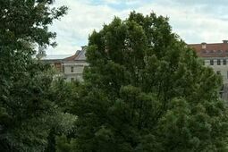 25-lecia Lubelskiej Akademii WSEI. Piknik pełen atrakcji na Błoniach pod Zamkiem