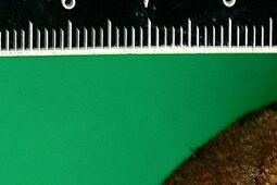 Czyścili dno rzeki. Takiego znaleziska się nie spodziewali