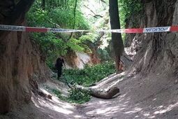 Wąwóz Korzeniowy Dół zamknięty do odwołania. Po wypadku 10 osób w szpitalu