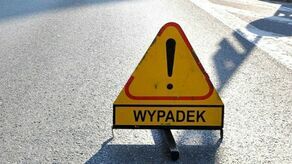 Wypadek na S17. Auto zderzyło się z łosiem