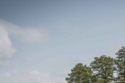 Nastąpiła kumulacja katastrof. Terytorialsi byli na miejscu