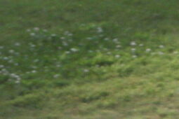 Drugie miejsce Bartosza Zmarzlika podczas żużlowego Grand Prix w Gorzowie