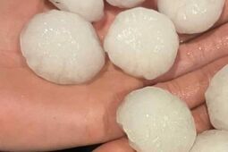 Grad wielkości piłki golfowej. Mieszkańcy: "Drzewa łamały się jak zapałki"