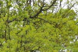 Prawie 100 mln zł z 8 kilometrów. Lada dzień ruszy remont DK48 i zacznie się dwuletni okres utrudnień