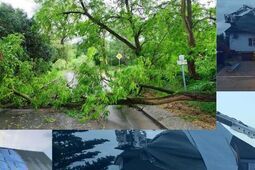 Noc pełna wyjazdów. Strażacy interweniowali ponad 200 razy po gwałtownych burzach w regionie