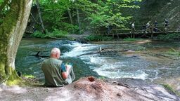 Szumy nad Tanwią w Lubelskiem 
