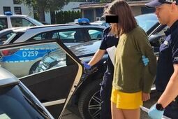 Brutalna napaść w gminie Potok Wielki. Inicjatorką była 18-latka