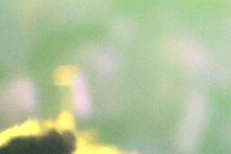 12 lat odpowiedzialności, 150 spotkań i jedna wielka gala! Lublin szykuje się na święto CSR