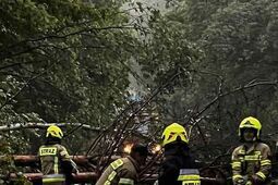 Nocne nawałnice powaliły drzewa, zalały domy. Ponad 200 interwencji strażaków