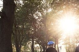 Do szkoły rowerem, na rolkach albo pieszo. Świdnik stawia na aktywność i nagradza