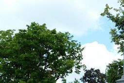 Unia Lubelska w centrum uwagi. Wielkie świętowanie potrwa 5 dni