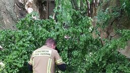 Podczas wycieczki na dzieci spadł konar drzewa. Jest śledztwo