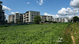 Na słynnym lubelskim polu mieszkańcy chcą parku. Zbierają podpisy pod petycją