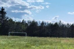 Dzieci chcą grać, a boisko zarasta. Jest apel radnego