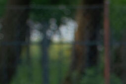 Tanew Majdan Stary rzutem na taśmę wywalczyła komplet punktów w Sitnie