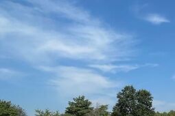 Odkryj uroki rzeki Nidy – najlepsze spływy kajakowe w Świętokrzyskiem