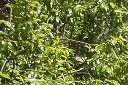 Czy popłyniemy ze śmieciami? Wyjaśniamy, jak będzie działać nowy system w Lublinie