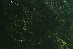 Kolarze wyjadą na miasto. Lubelskich kierowców czekają utrudnienia