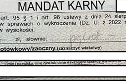 Świętowali urodziny. Z tej okazji dewastowali śmietniki