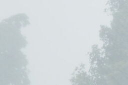 W nocy może solidnie powiać i zagrzmieć