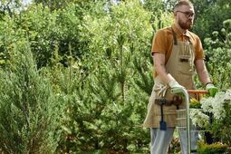 Ogród w wielkim mieście – rola ogrodnictwa w zielonej rewitalizacji