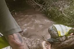 Potężne burze w Kraśniku. Terytorialsi ruszyli z pomocą