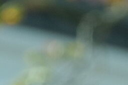 Lubelski Lider Bezpieczeństwa mówi "sprawdzam" na dzielnicy Rury