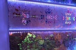 Lublin nie zasnął. Za nami Noc Kultury 2025