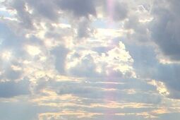 Lubelskie zdobywa serca obcokrajowców. Co urzeka turystów z innych krajów?