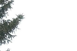 Instytut Medycyny Wsi w Lublinie rusza z pomocą osobom otyłym