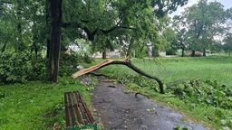 Po wichurach do parku strach wchodzić. Ratusz chce zatrudnić ogrodnika 