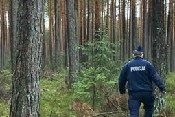 Tragedia w lesie. Nie żyje 41-letni mężczyzna
